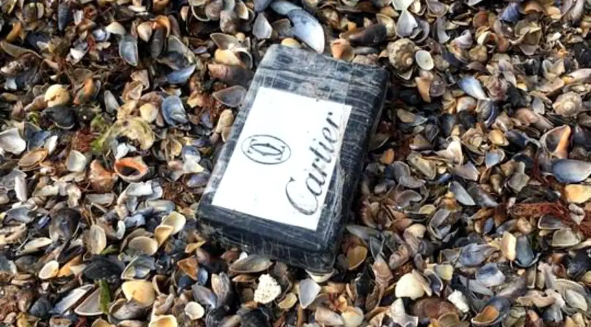 Răspunsul MAI pentru un român interesat de drogurile găsite pe litoral