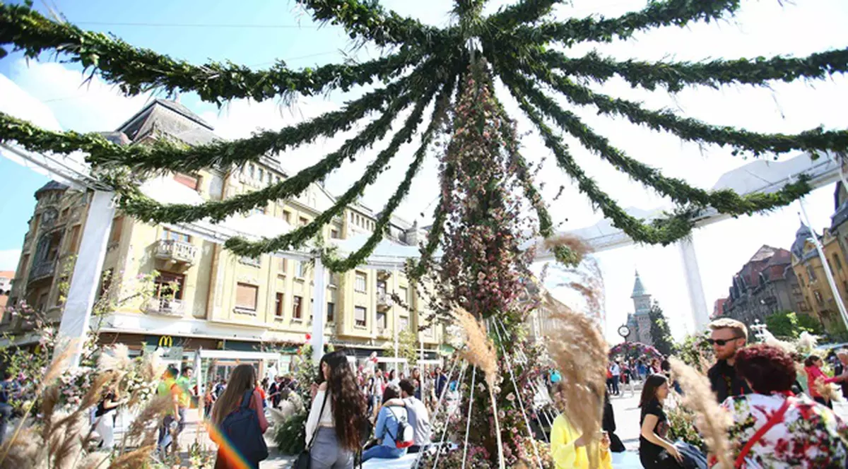 Festivalul Florilor Timfloralis de la Timișoara a costat peste 300.000 de euro