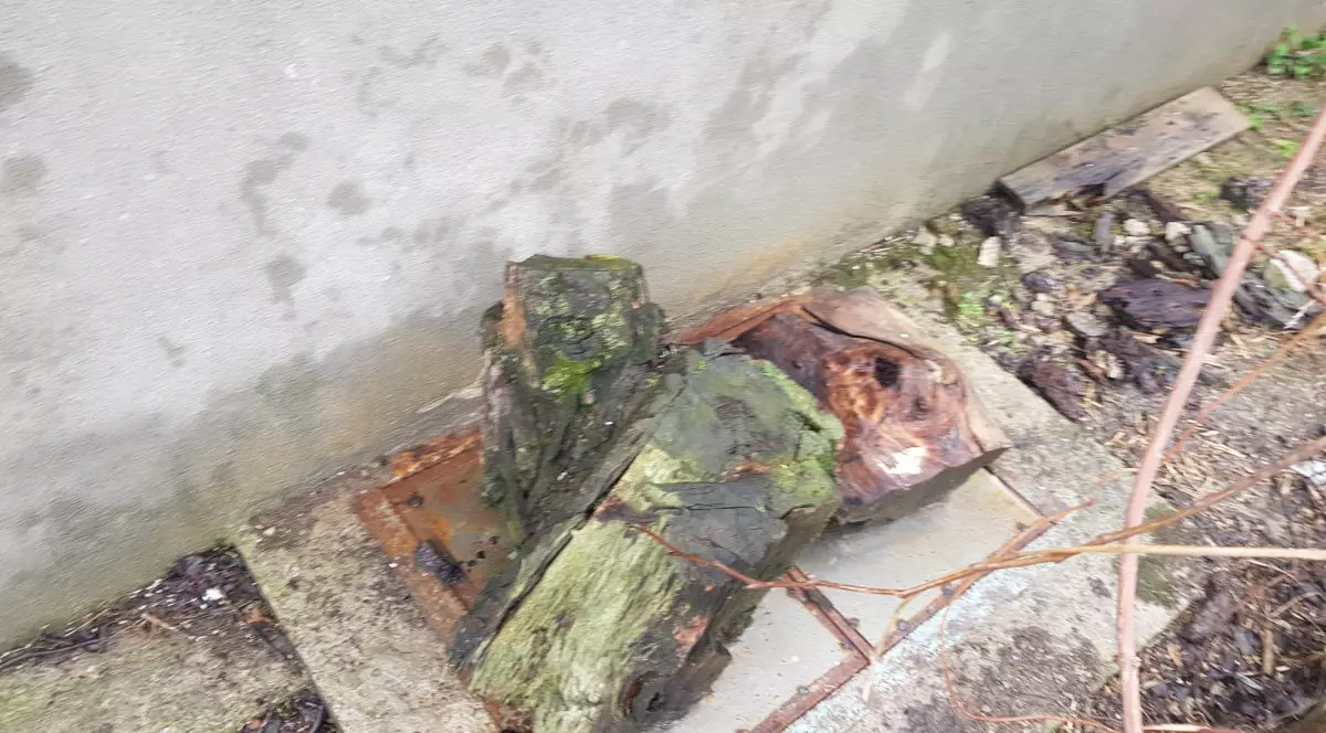 Școala din Buda, unde un copil a murit în fosa septică, verificată în urmă cu două luni. Capacul ruginit și fără balamale a fost ignorat!