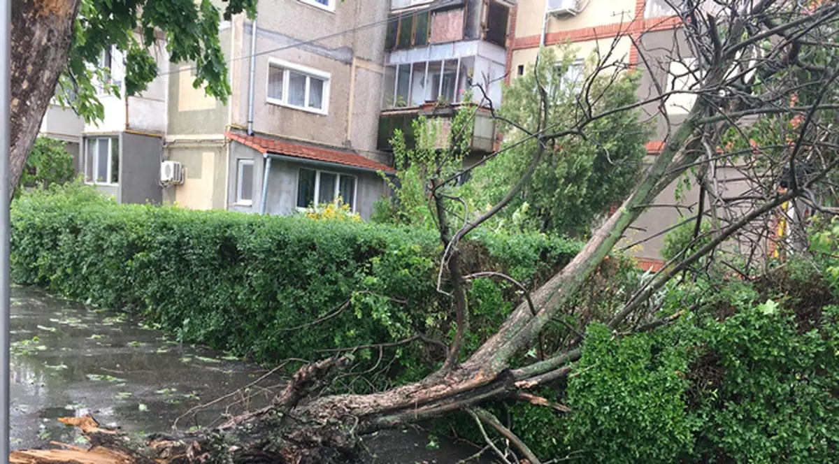 Grindină și vijelii în toată țara. Gheața a produs pagube în Dâmbovița, iar vântul a smuls acoperișuri în Timișoara și Alba