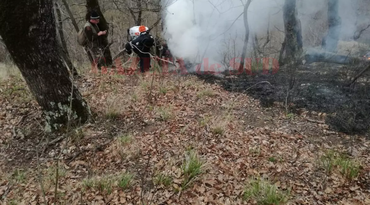 Incendiu de pădure la Brezoi