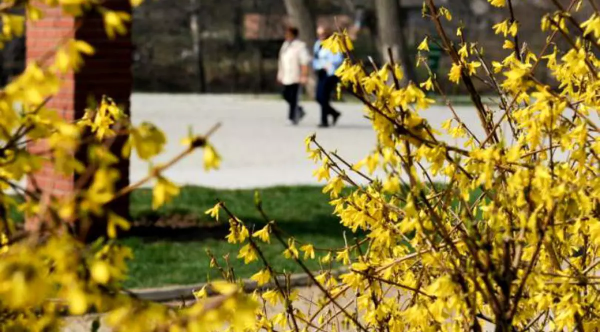 Prognoza meteo pentru următoarele trei zile. Cum va fi vremea 23-25 aprilie