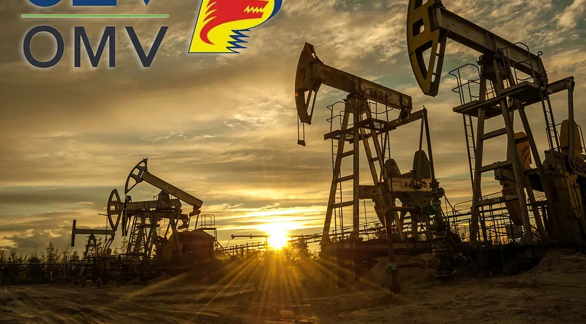 Pentru cine lucrează Guvernul Dăncilă: pentru OMV Petrom sau pentru oameni?! Clanul Popescu din Târgoviște: soția cere din partea OMV Petrom, soțul aprobă din partea ANRM