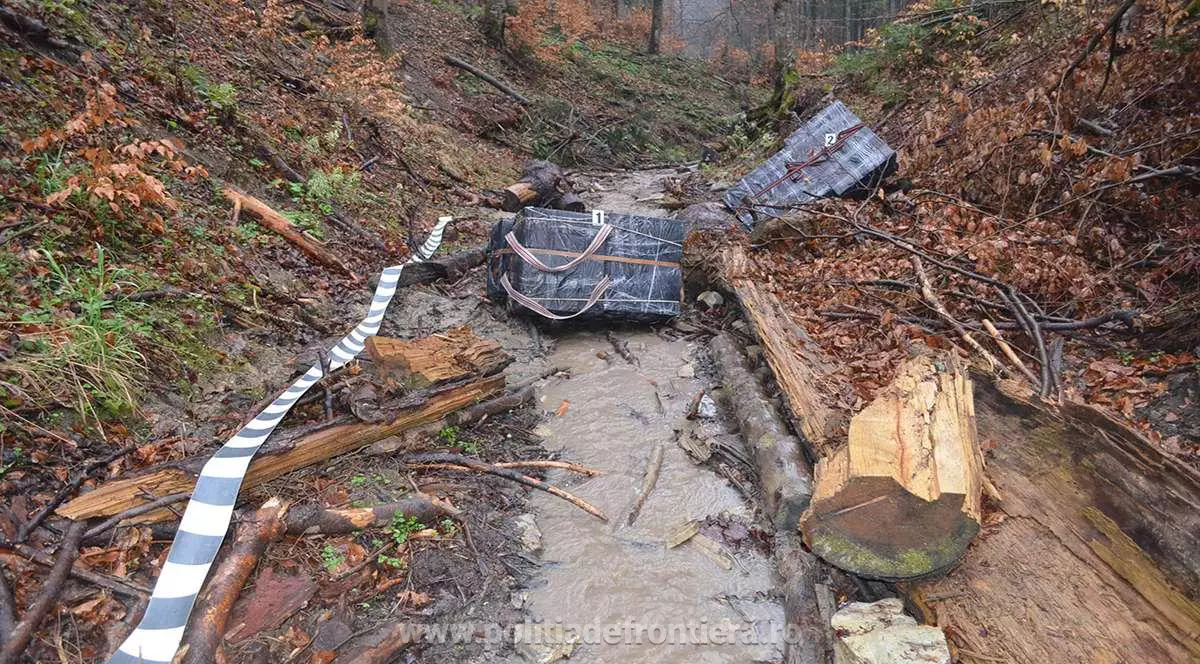Pachete de țigări de contrabandă confiscate
