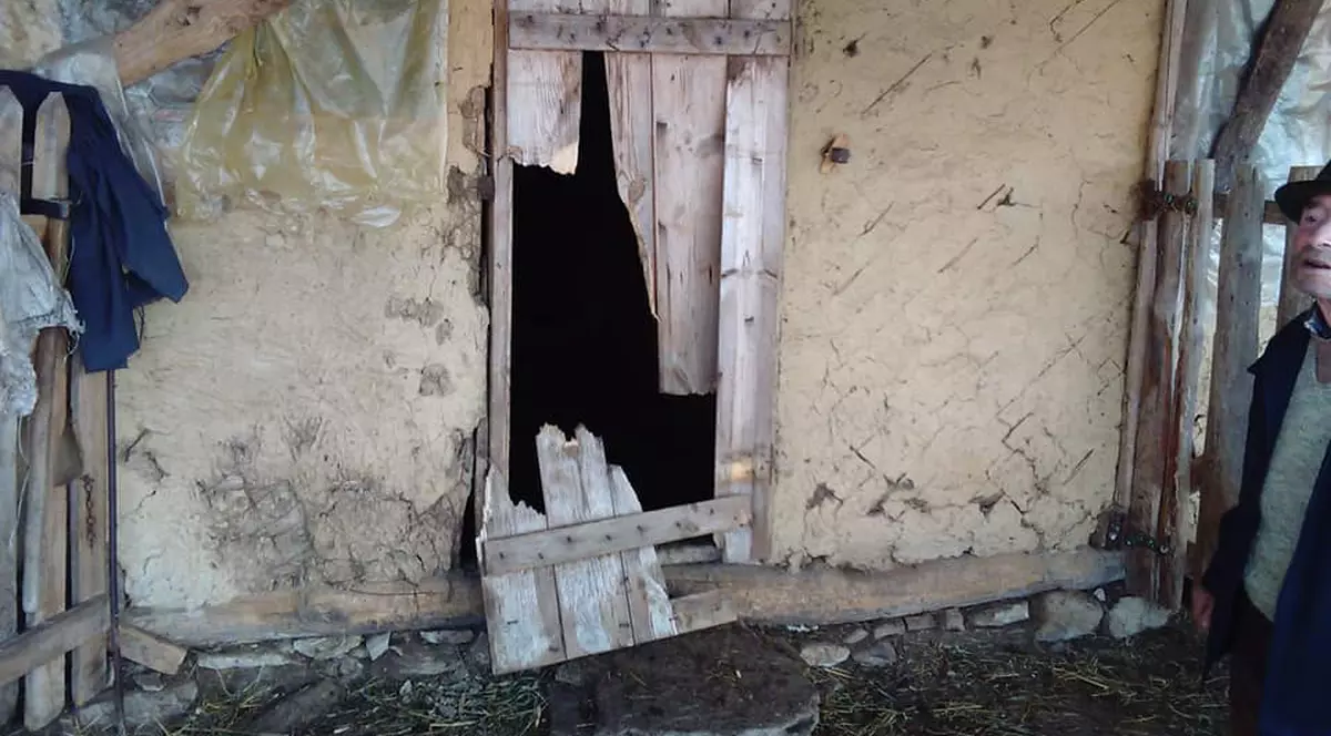 Gospodărie din Colți, Buzău, atacată din nou de un urs. Primarul comunei: „Mai e un urs abonat la carnea din gospodăriile cetăţenilor”