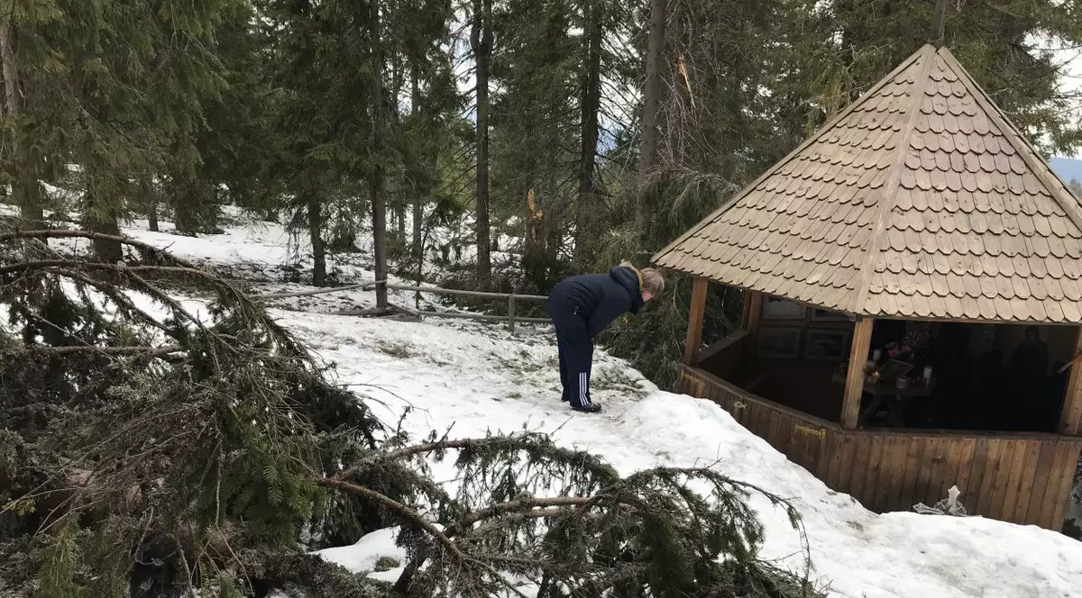 FOTO&VIDEO | Moții salvatori din Apuseni au emigrat! Avem semnal GSM, drum asfaltat, dar au plecat oamenii care au făcut diferența în groaznicul accident de avion