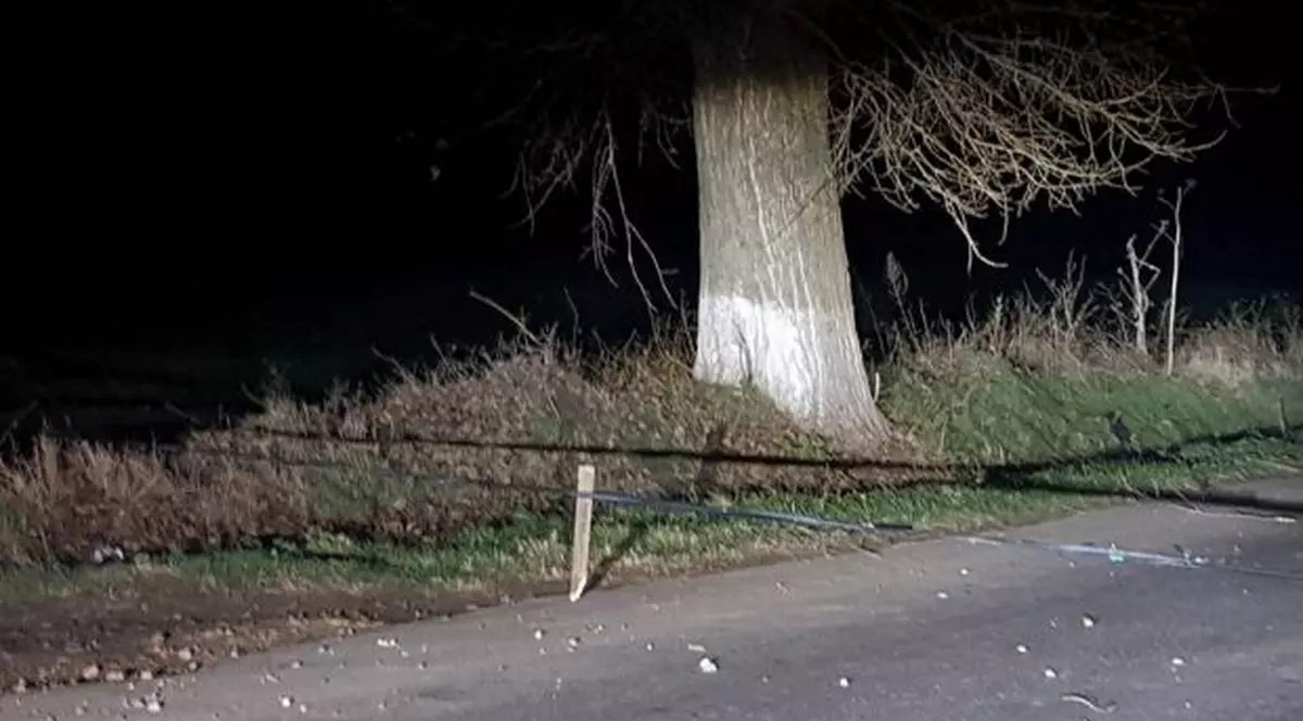 Drumul Judeţean 100 C este blocat de stâlpi căzuţi