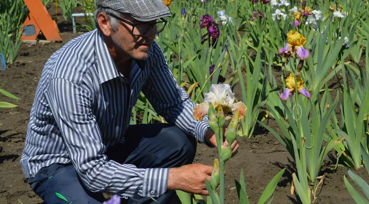 Are o avere în grădină! Un vasluian e cel mai mare cultivator de iriși din estul Europei