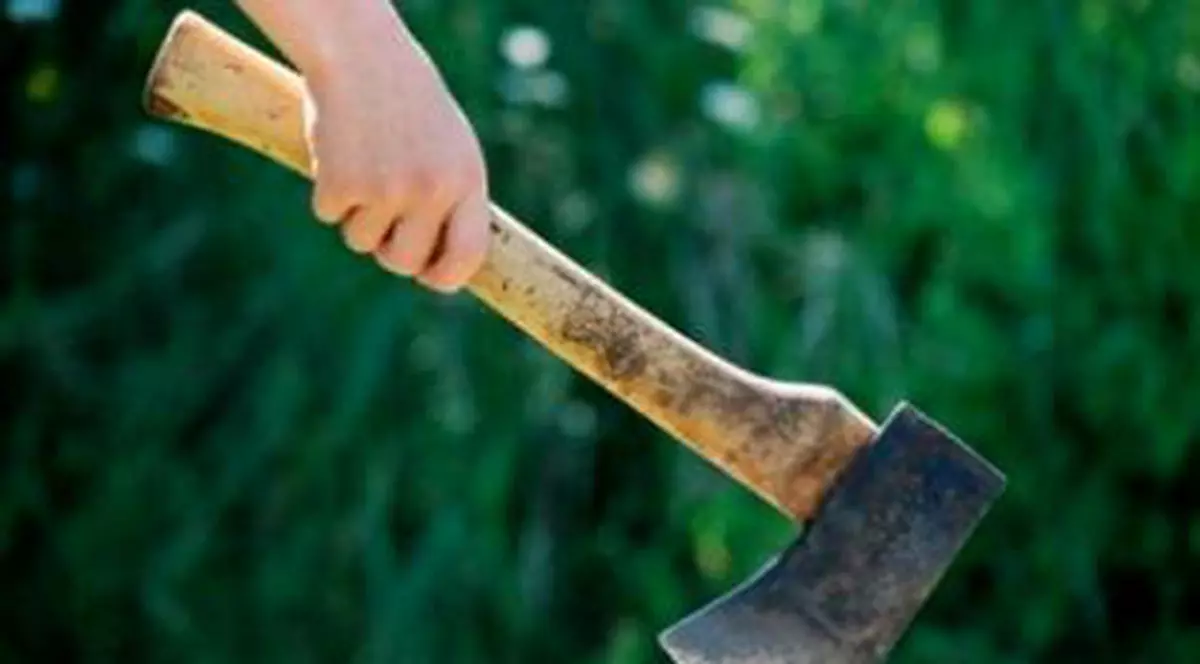 Tânăr de 18 ani, reținut de poliție după ce a lovit un bărbat cu o coadă de topor. Victima a murit