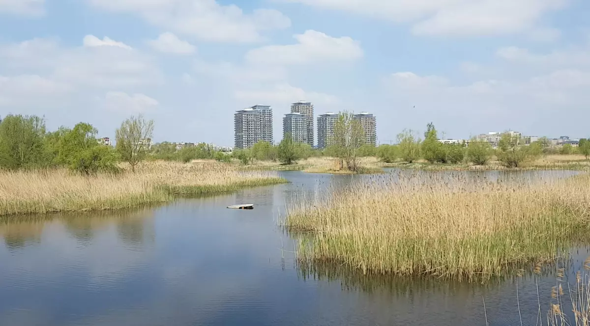 Văcărești, drumul de la groapă de gunoi la parc natural Văcărești. Imagine din Parcul Văcărești