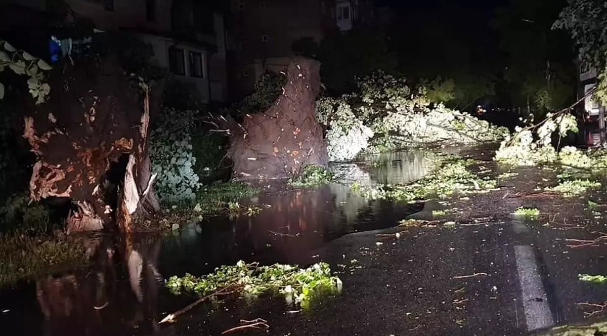 Furtună extrem de puternică în Germania, cel puțin 20 de persoane au fost rănite. Vântul a suflat cu 110 kilometri la oră