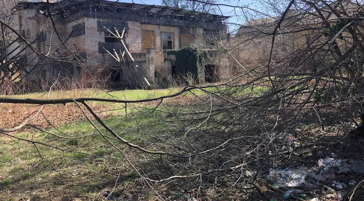 Povestea casei Mühle din Timișoara. În spatele ruinelor se află o familie fabuloasă. Wilhem Mühle a creat Parcul Central din Timișoara, fiul lui, Arpad, a contribuit la amenajarea Parcului Cișmigiu