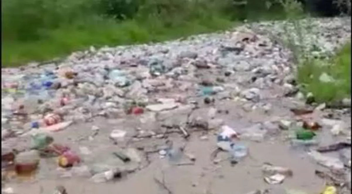 Tone de gunoaie, aduse de apele unui pârâu din Argeș