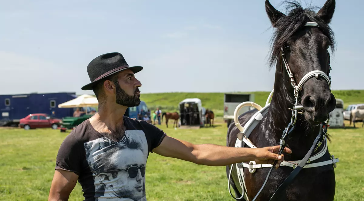 Cum arată un târg tradițional de cai de rasă, în Lunca Dunării. O tradiție păstrată de peste 3.000 de ani! | GALERIE FOTO