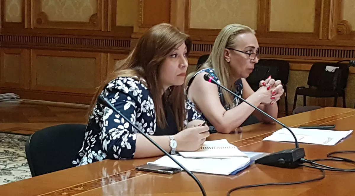 VIDEO / Claudia Nicolae, șefa Agerpres, audiată în Comisia de cultură, după scandalul predării arhivei foto şi video de la protestul diasporei, la cererea poliției lui Carmen Dan: „Nu s-a încălcat nicio lege”