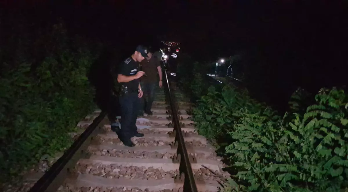 Tragedia feroviară din Iași. Tânăra lovită de tren venise în țară să se căsătorească