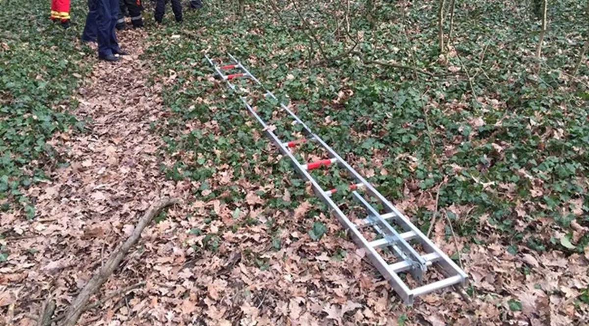 Descoperire macabră într-o pădure din Timișoara