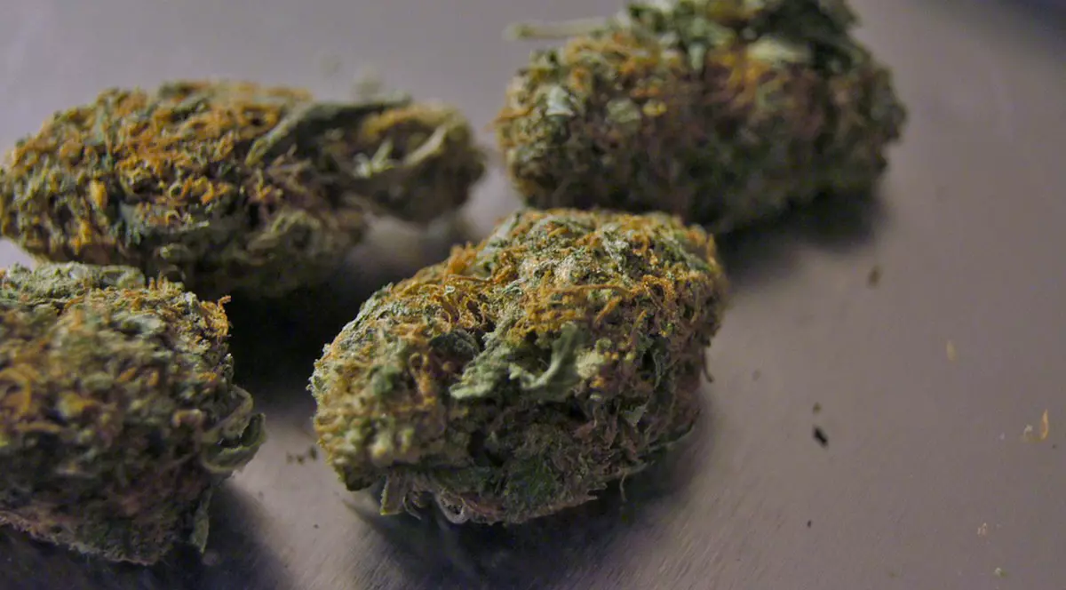 Canada legalizează cannabisul comestibil. Bomboanele și berea cu cannabis rămân pe lista produselor interzise