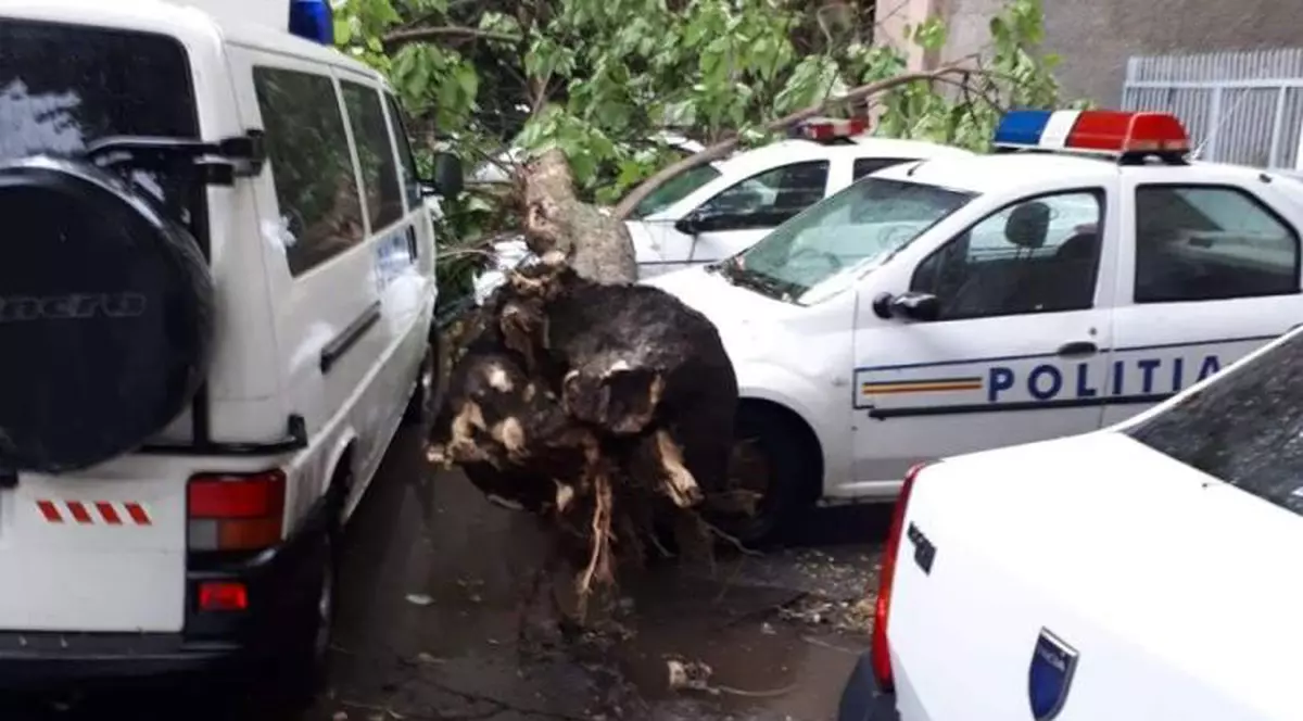Trei mașini de poliție, lovite de un copac doborât de furtună la Brăila