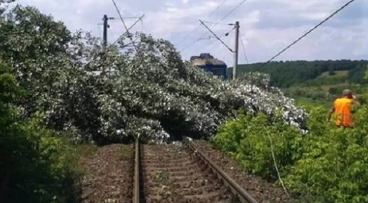 Trenuri cu sute de călători, oprite după ce mai mulţi copaci au căzut pe firele de contact
