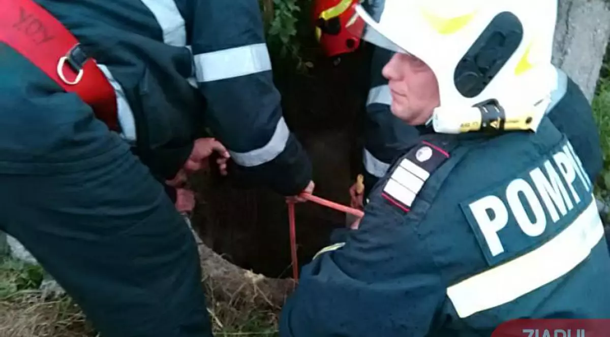 Un bărbat din Dolj și-a aruncat mama în fântână după un scandal