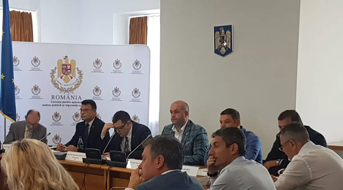 Cazul de la Caracal: Ministrul de Interne, directorul STS şi fostul şef al Poliţiei Române, audiaţi în Parlament