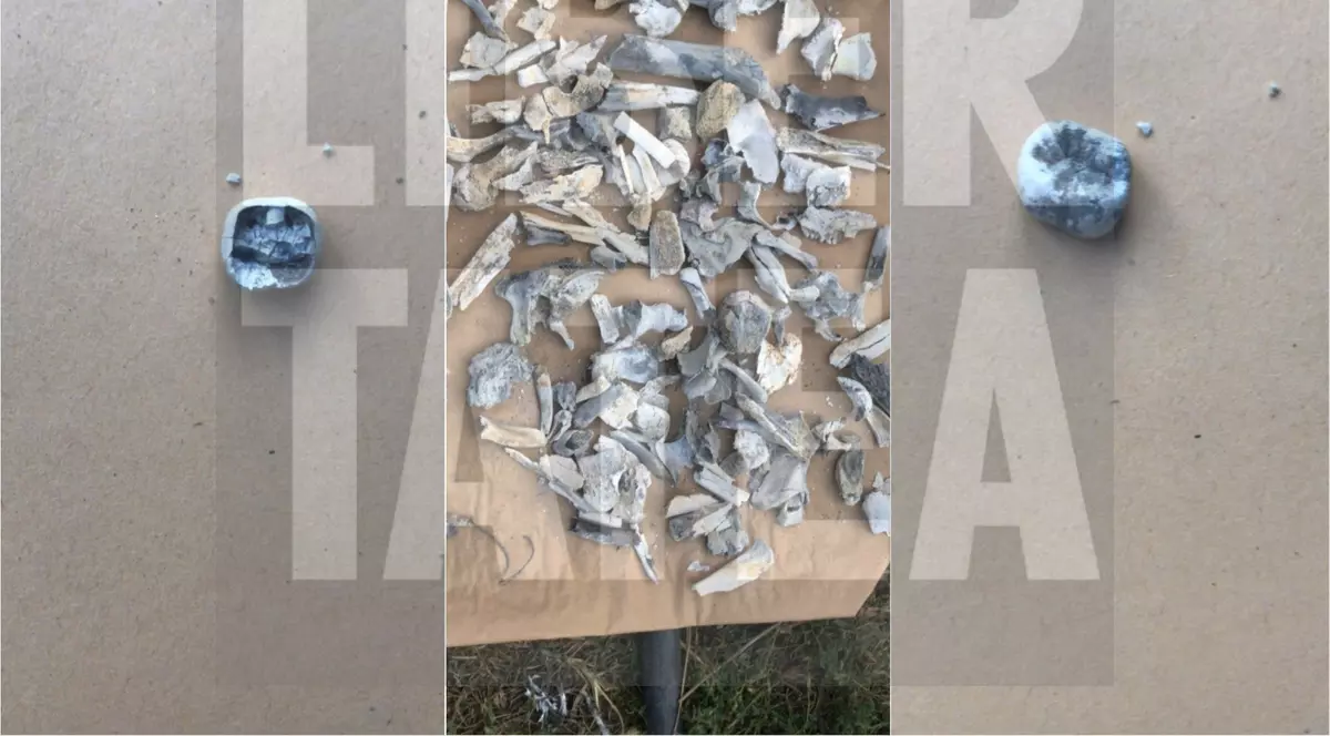 Corespondență din Caracal: Așa arată resturile de oase și dinții de om pe care le-au găsit polițiștii în curtea suspectului în cazul Alexandrei!