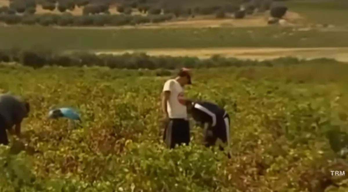 Un patron italian și concubina româncă, ambii aflați în arest la domiciliu, au continuat să-și exploateze muncitorii!