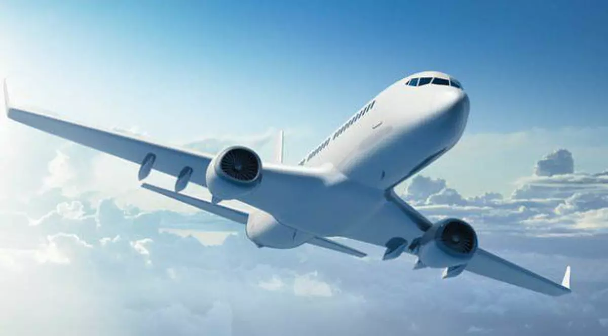 Au găsit un fetus mumificat în baia unui avion în Spania