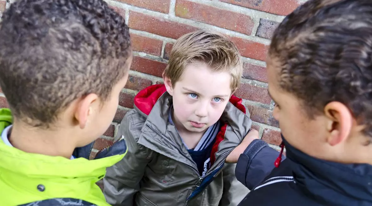 Petiţie online împotriva bullying-ului în şcoli, lansată de Asociaţia Telefonul Copilului