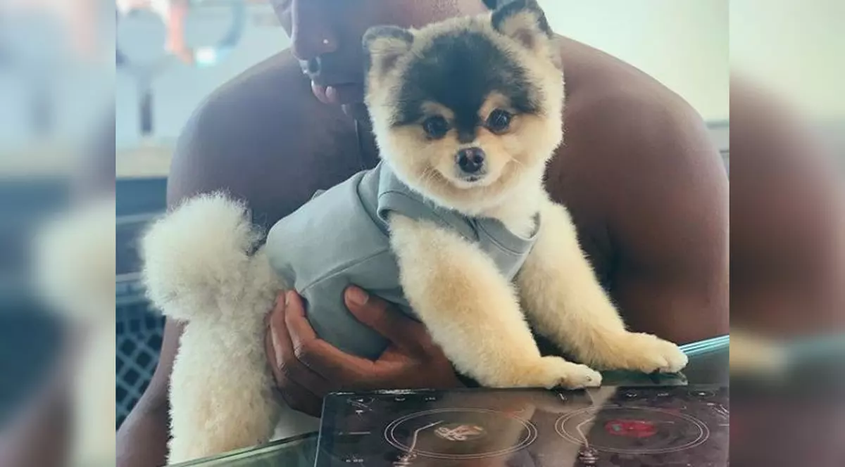 Casa lui Daniel Sturridge a fost spartă