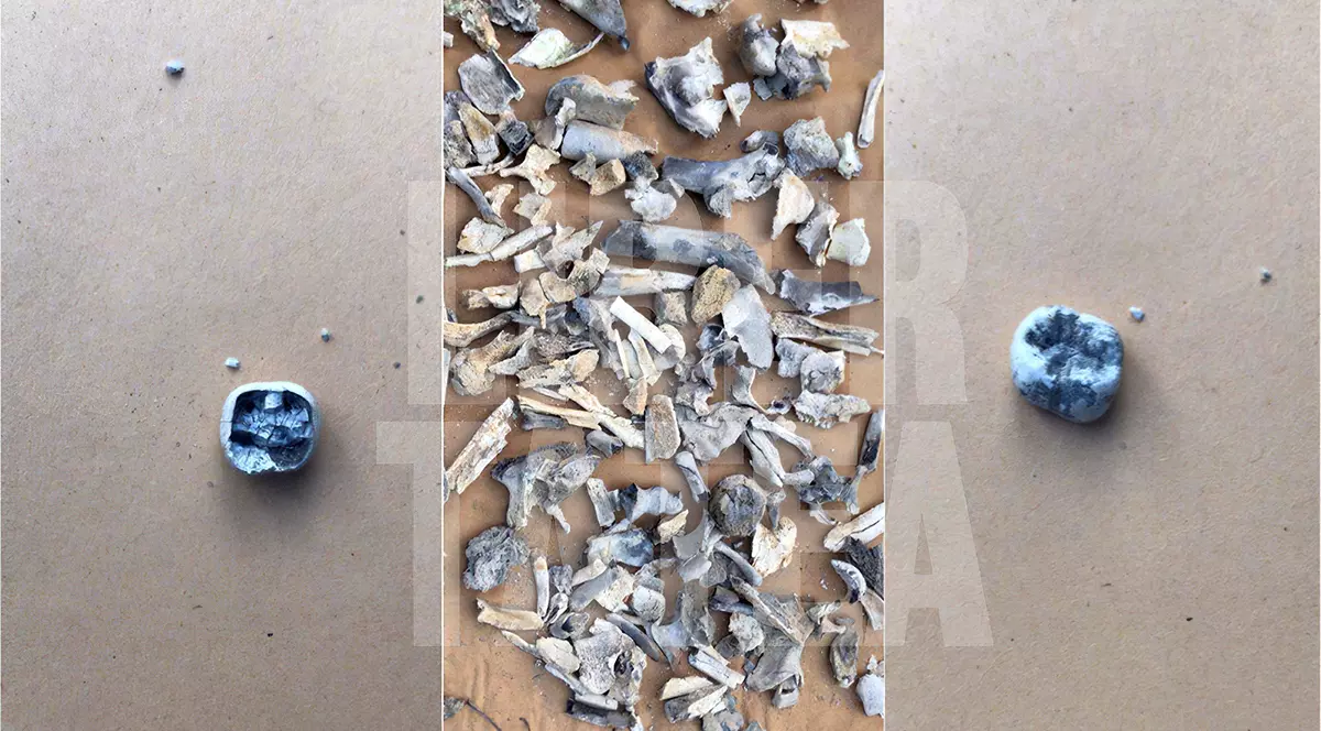 Surse IML: Oasele ridicate din locuința lui Gheorghe Dincă sunt ale Alexandrei Măceșanu!