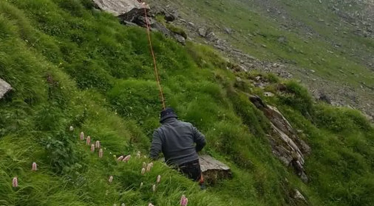 Copil de 9 ani și bunicul lui, blocați pe stânci la Bâlea Lac