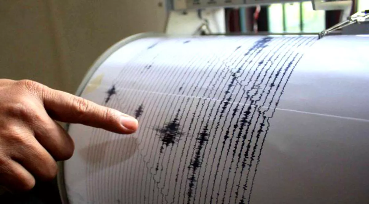 Cutremur de 3,1 pe scara Richter în judeţul Buzău