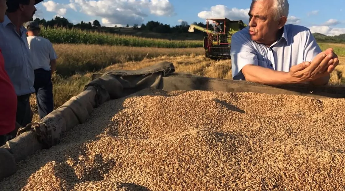 Ministrul Daea refuză cererea unui comisar european de a opri exportul a 70.000 de oi către țările arabe