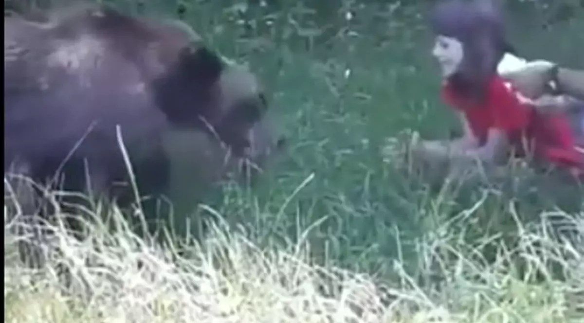 O fetiță i-a dat unui urs să mănânce, din mână, pe Transfăgărășan. Filmare șocantă