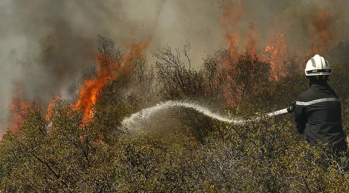 Incendii în Franța, din cauza caniculei. Mii de hectare au fost distruse
