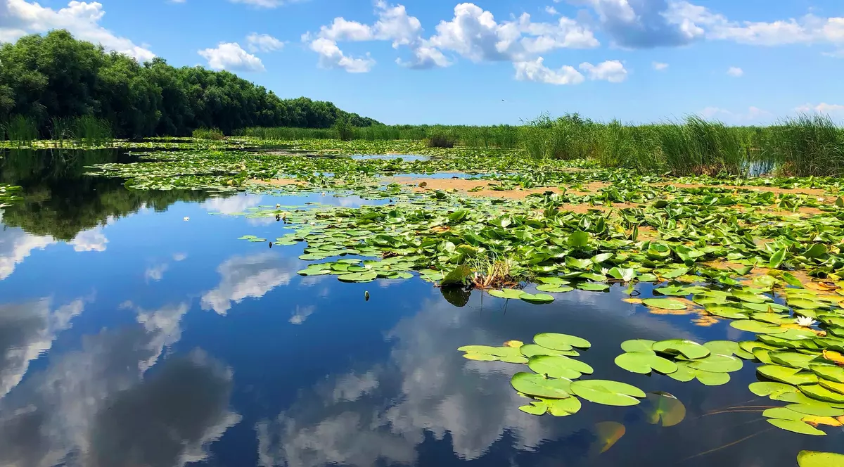Ofertă Specială Plătește 1 și Merg 3 în Delta Dunării! (PUBLICITATE)