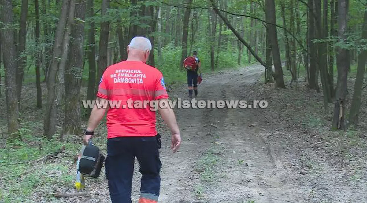 Un pădurar din Dâmbovița a murit din cauza caniculei