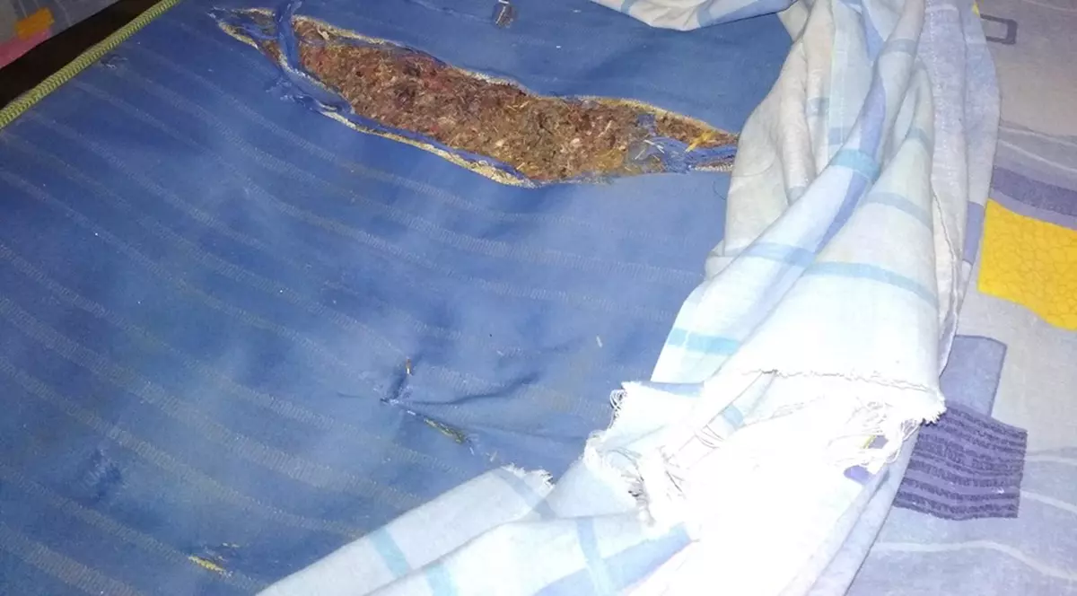 Olimpici la istorie cazați în condiții infecte la Turnu Măgurele. Mesajul unui elev pentru ministrul Andronescu: ”Țara asta nu dă niciun ban pe munca noastră! Pușcăriașii au condiții mai bune!”