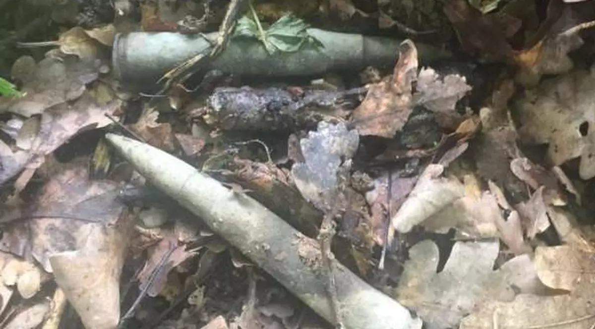 Două proiectile au fost descoperite de un participant la un festival de tradiţii populare din Alba