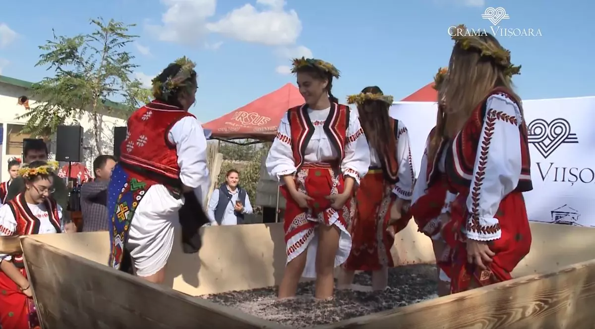 Un producător de vin susține că a angajat virgine pentru a zdrobi strugurii