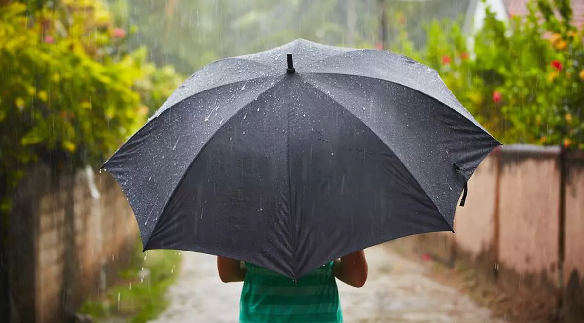 Avertizare cod galben de vânt în aproape toată țara. Unde vor fi vijelii, sâmbătă