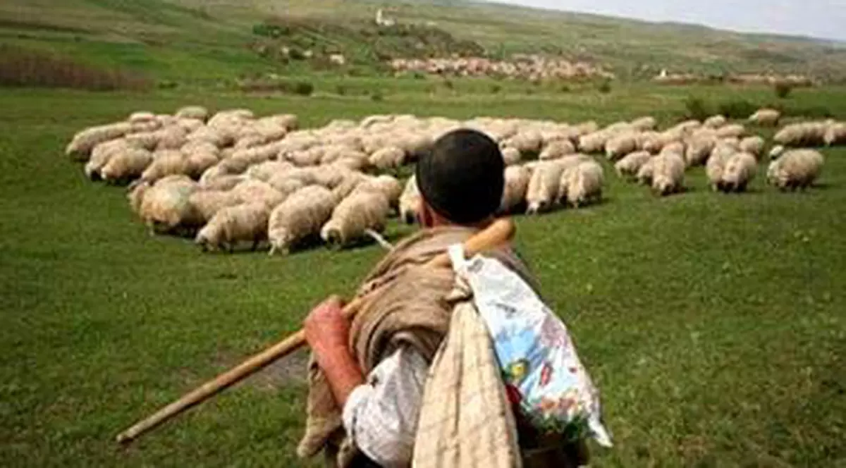 Cioban român în vârstă de 45 de ani, dispărut în zona muntoasă a provinciei Torino