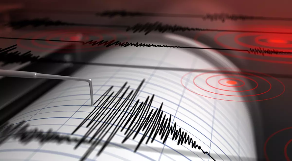 Un cutremur de 4 grade pe scara Richter a avut loc noaptea trecută în zona Vrancea