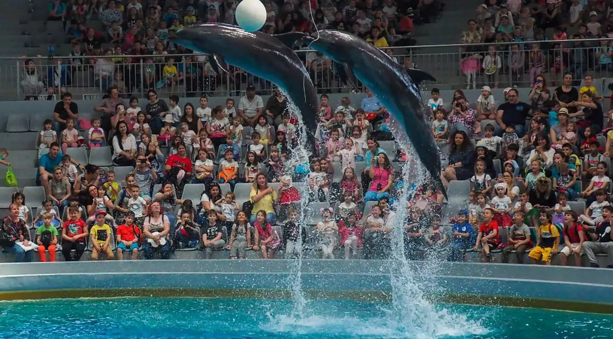 5,6 milioane de euro pentru extinderea Delfinariului din Constanța