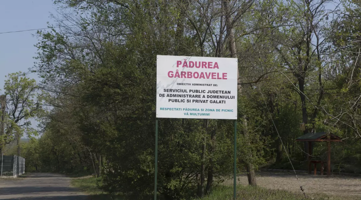 Pesta porcină a ajuns la Grădina Zoologică din Galați. Singurul mistreț de acolo va fi sacrificat