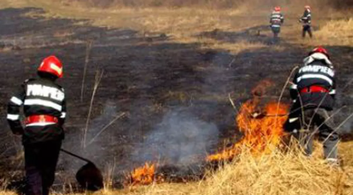 Incendiu de vegetație pe patru hectare în localitatea Pârscov