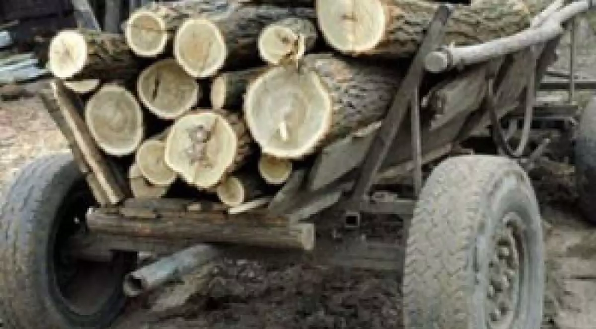 Un tânăr din Argeș a murit după ce o căruță cu lemne s-a răsturnat peste el