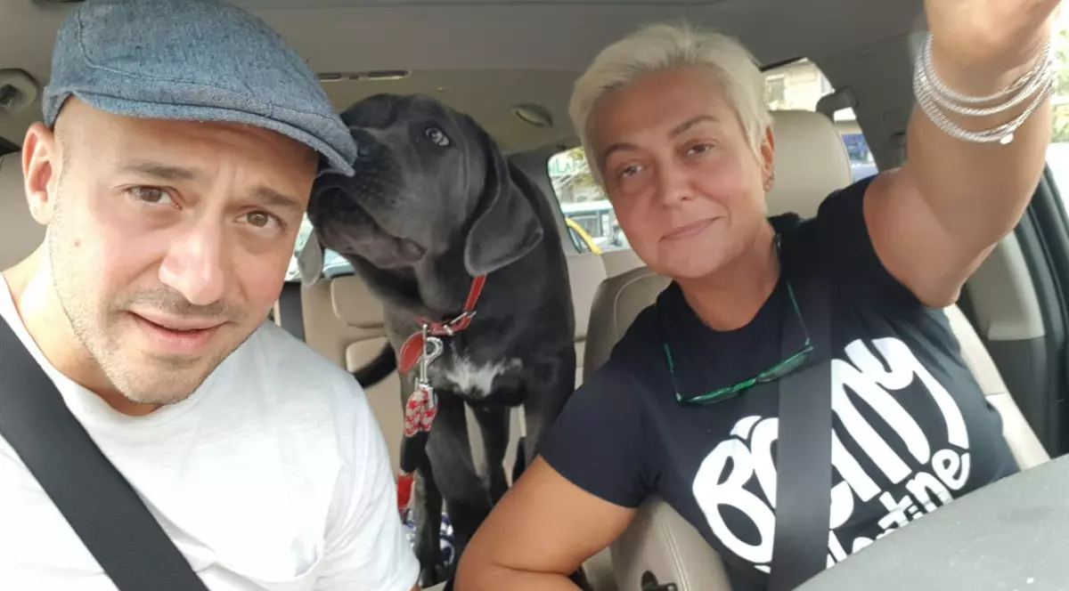 Monica Anghel are acasă șase căței, primiți cadou sau luați de pe stradă